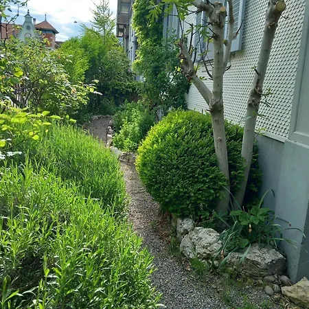 Et Jardin Pres Du Nidau